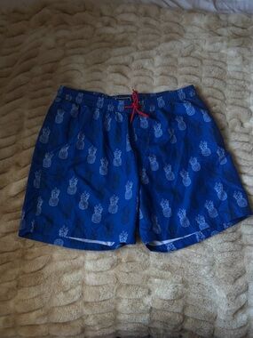 Club Room Blue Pineapple Print Swim Trunks with Red Drawstring